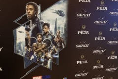 Foto-12