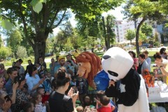 Picture-10