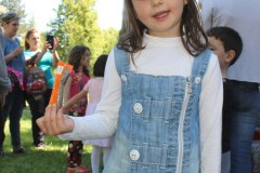 Picture-15